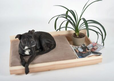 Bed for dog 2017