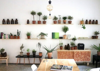 Haenke botanical lab 2016