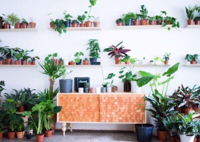 Haenke botanical lab 2016