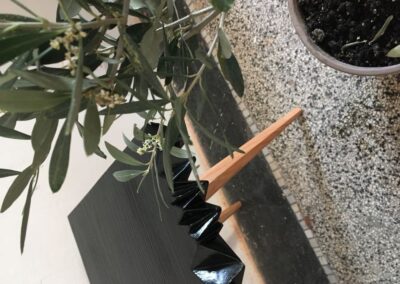 Haenke botanical lab 2016